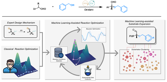 1764647827801061801.png 图片1.png