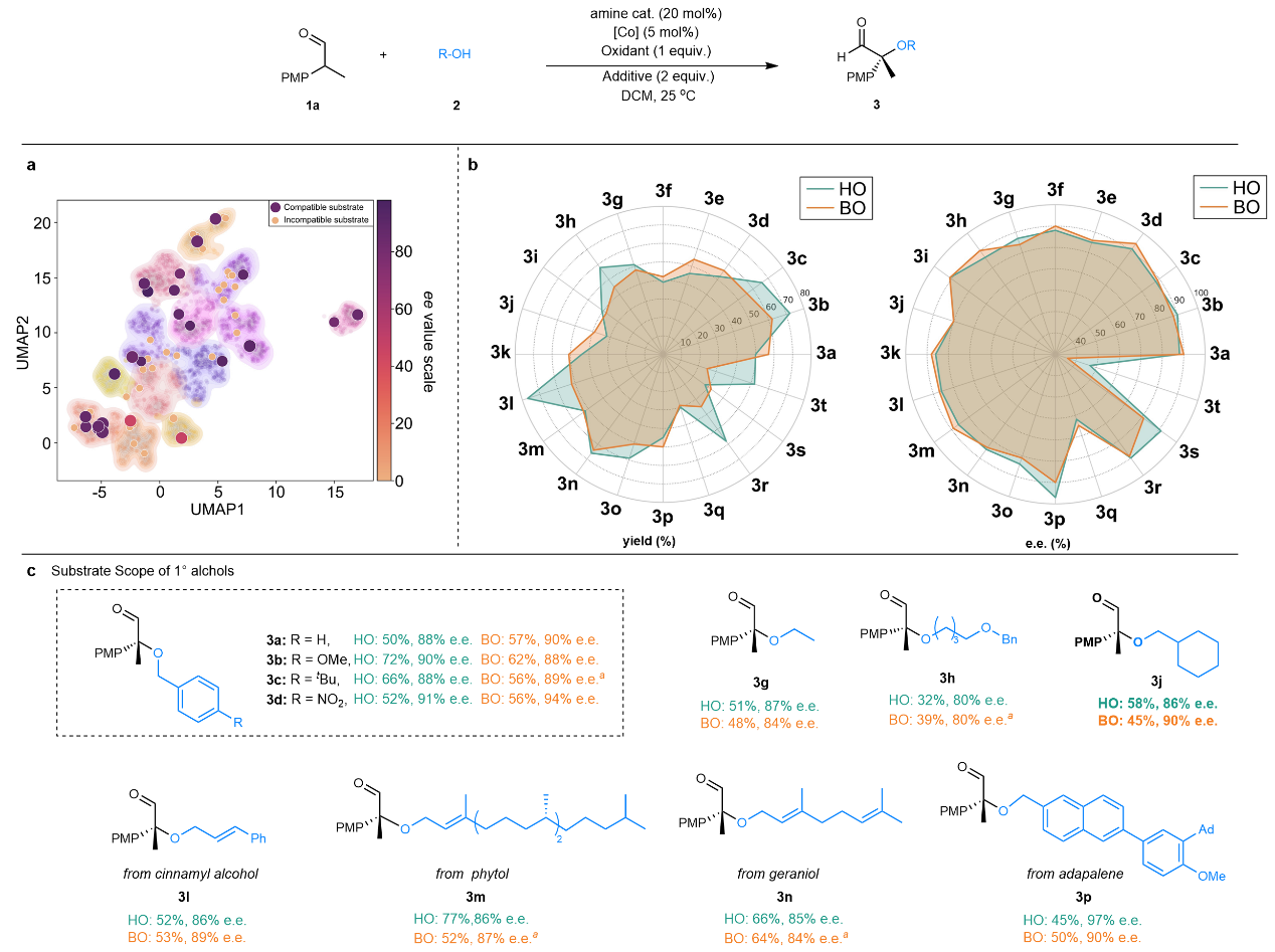 1764647972734067554.png 图片3.png